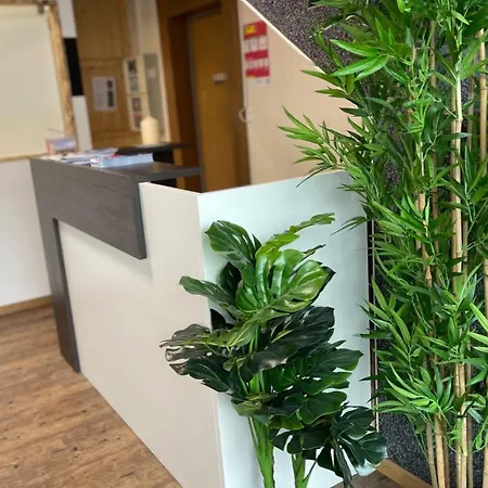 Boutique & Restaurant Baeren 3* リングゲンベルク